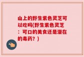 山上的野生紫色灵芝可以吃吗(野生紫色灵芝：可口的美食还是潜在的毒药？)