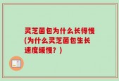 灵芝菌包为什么长得慢(为什么灵芝菌包生长速度缓慢？)