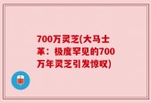 700万灵芝(大马士革：极度罕见的700万年灵芝引发惊叹)