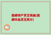 西藏特产灵芝简画(西藏珍品灵芝简介)