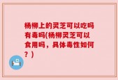 杨柳上的灵芝可以吃吗有毒吗(杨柳灵芝可以食用吗，具体毒性如何？)