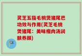 灵芝五指毛桃煲猪尾巴功效与作用(灵芝毛桃煲猪尾：美味瘦肉汤润肤养颜)