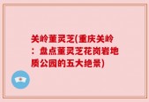 关岭董灵芝(重庆关岭：盘点董灵芝花岗岩地质公园的五大绝景)