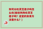 狗可以吃灵芝孢子吗怎么吃(能给狗狗吃灵芝孢子吗？适宜的食用方法是什么？)