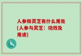 人参和灵芝有什么用处(人参与灵芝：功效及用途)