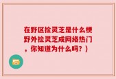 在野区捡灵芝是什么梗野外捡灵芝成网络热门，你知道为什么吗？)