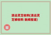 清远灵芝收购(清远灵芝被收购 新闻报道)