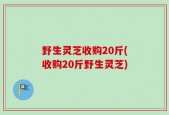 野生灵芝收购20斤(收购20斤野生灵芝)