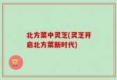 北方菜中灵芝(灵芝开启北方菜新时代)