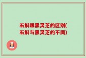 石斛跟黑灵芝的区别(石斛与黑灵芝的不同)