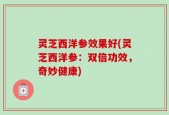 灵芝西洋参效果好(灵芝西洋参：双倍功效，奇妙健康)