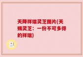 天降祥瑞灵芝图片(天赐灵芝：一份不可多得的祥瑞)