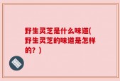 野生灵芝是什么味道(野生灵芝的味道是怎样的？)