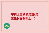 布料上面长的灵芝(灵芝生长在布料上！)