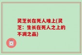 灵芝长在死人堆上(灵芝：生长在死人之上的不凋之品)