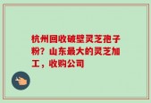 杭州回收破壁灵芝孢子粉？山东最大的灵芝加工，收购公司