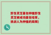 野生灵芝菌包种植野生灵芝被成功菌包培育，挑战人为种植的局限)