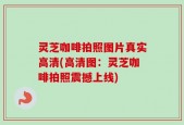 灵芝咖啡拍照图片真实高清(高清图：灵芝咖啡拍照震撼上线)