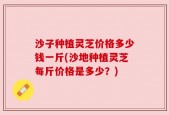 沙子种植灵芝价格多少钱一斤(沙地种植灵芝每斤价格是多少？)
