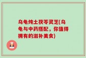 乌龟炖土茯苓灵芝(乌龟与中药搭配，你值得拥有的滋补美食)
