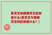 紫灵芝和西藏灵芝区别是什么(紫灵芝与西藏灵芝的区别是什么？)