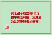 灵芝孢子粉盆栽(灵芝孢子粉易种植，逐渐成为盆栽爱好者的新宠)