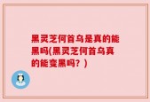 黑灵芝何首乌是真的能黑吗(黑灵芝何首乌真的能变黑吗？)