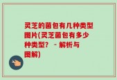 灵芝的菌包有几种类型图片(灵芝菌包有多少种类型？ - 解析与图解)