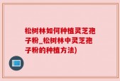 松树林如何种植灵芝孢子粉_松树林中灵芝孢子粉的种植方法)