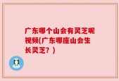 广东哪个山会有灵芝呢视频(广东哪座山会生长灵芝？)