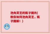 泡肉灵芝的瓶子图片(教你如何泡肉灵芝，瓶子图解！)