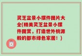 灵芝盆景小摆件图片大全(精美灵芝盆景小摆件图赏，打造世外桃源般的都市绿色家居！)