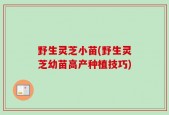 野生灵芝小苗(野生灵芝幼苗高产种植技巧)