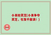 小青抢灵芝(小青争夺灵芝，引发千层浪！)