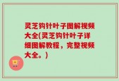 灵芝钩针叶子图解视频大全(灵芝钩针叶子详细图解教程，完整视频大全。)