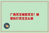 广西灵芝破壁灵芝？破壁机打灵芝怎么做