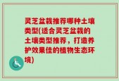 灵芝盆栽推荐哪种土壤类型(适合灵芝盆栽的土壤类型推荐，打造养护效果佳的植物生态环境)