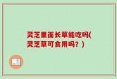 灵芝里面长草能吃吗(灵芝草可食用吗？)