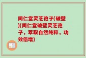 同仁堂灵芝孢子(破壁)(同仁堂破壁灵芝孢子，萃取自然纯粹，功效倍增)