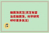 脑震荡灵芝(灵芝有望治愈脑震荡，科学研究呼吁更多关注)