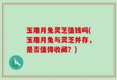 玉雕月兔灵芝值钱吗(玉雕月兔与灵芝并存，是否值得收藏？)