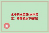 水中的水灵芝(水中灵芝：神奇的水下植物)