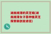 湖南湘潭的灵芝姐(湖南湘潭女子靠种植灵芝探索新创业途径)