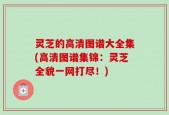 灵芝的高清图谱大全集(高清图谱集锦：灵芝全貌一网打尽！)