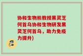协和生物熊教授黑灵芝何首乌协和生物研发黑灵芝何首乌，助力免疫力提升)