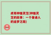 虎哥种植灵芝(种植灵芝的故事：一个普通人的追梦之路)