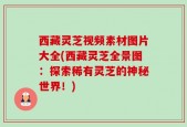 西藏灵芝视频素材图片大全(西藏灵芝全景图：探索稀有灵芝的神秘世界！)
