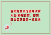 苍南野生灵芝图片欣赏大全(泰然自若，苍南野生灵芝美景一览无余)