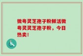 微粤灵芝孢子粉鲜活微粤灵灵芝孢子粉，今日热卖！