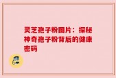 灵芝孢子粉图片：探秘神奇孢子粉背后的健康密码